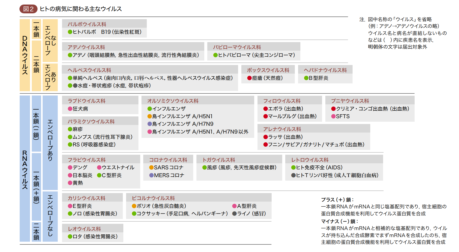 ウイルスの種類